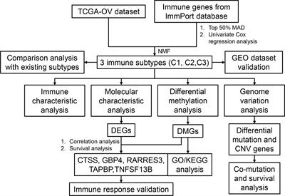 Comprehensive Landscape of Ovarian Cancer Immune Microenvironment Based on Integrated Multi-Omics Analysis